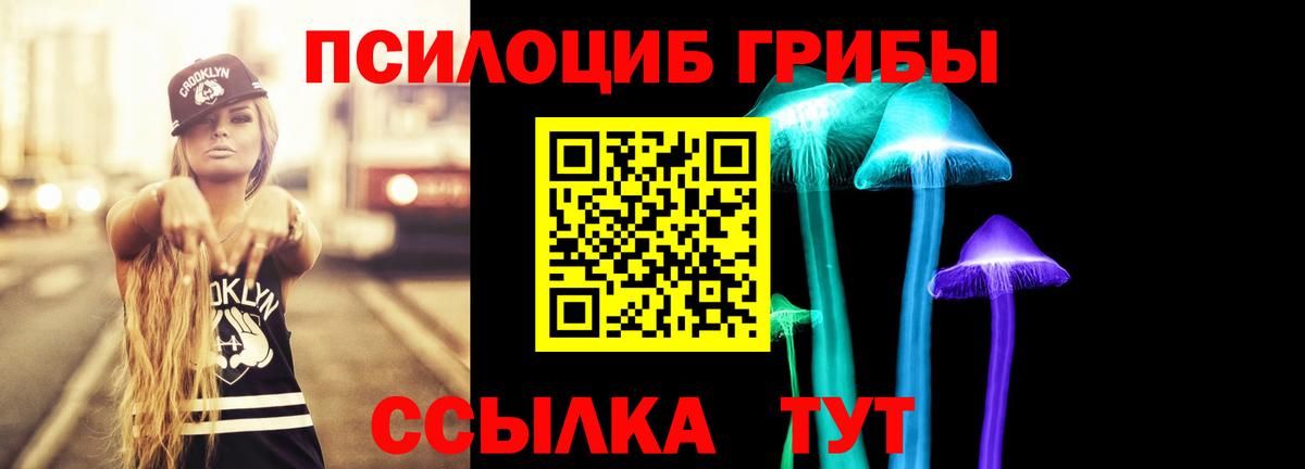 Галлюциногенные грибы Psilocybe  Псилоцибиновые грибы Psilocybine cubensis  Верхняя Салда  Вход с VPN 
